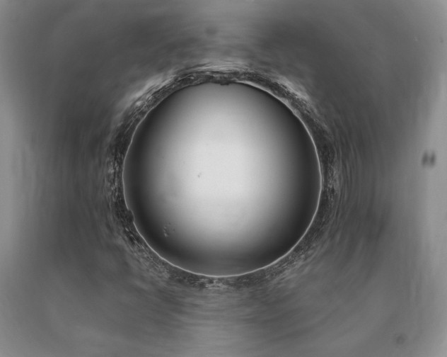 X0000091071398200708061252