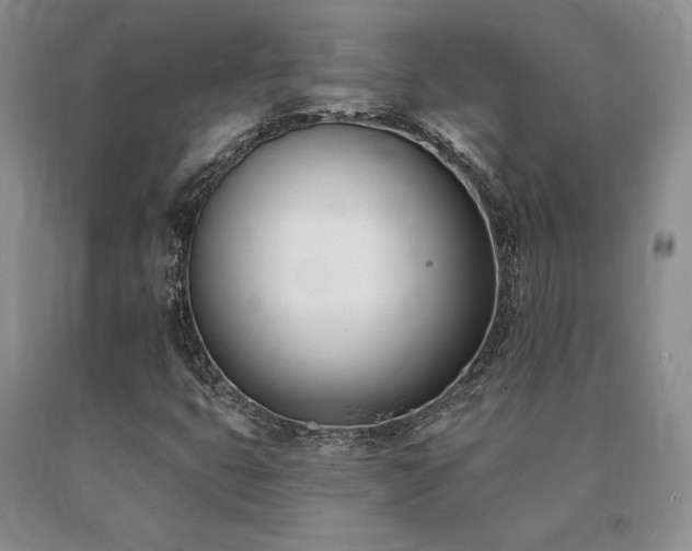 X0000091071399200708061252
