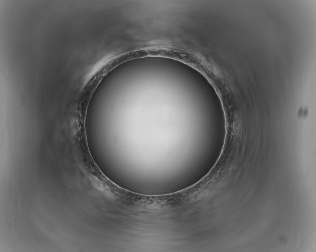 X0000091071400200708061252