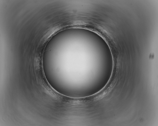X0000091071401200708061252