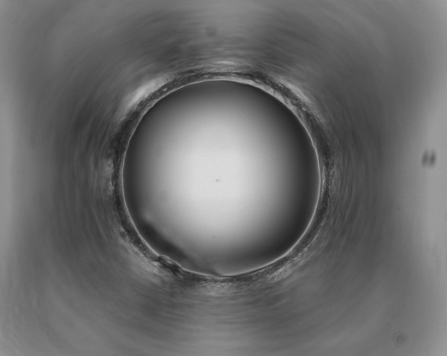 X0000091071402200708061253