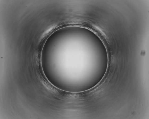 X0000091071403200708061253