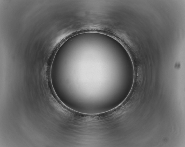 X0000091071404200708061253