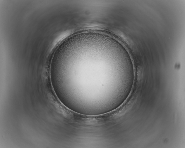 X0000091071405200708061253