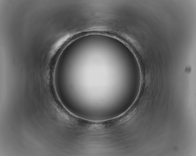X0000091071406200708061253