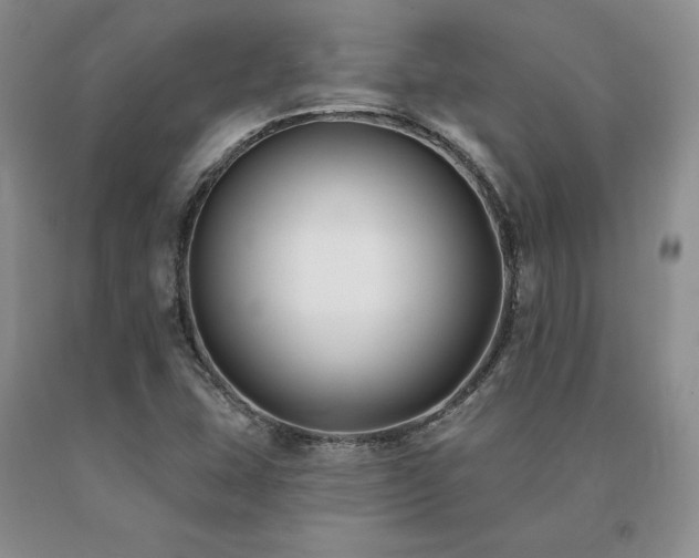 X0000091071407200708061253