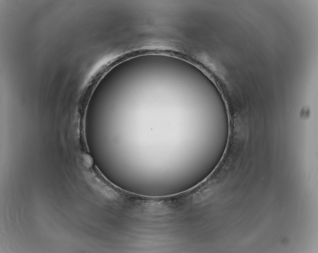 X0000091071408200708061253