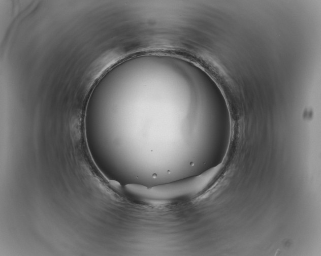 X0000091071409200708061253