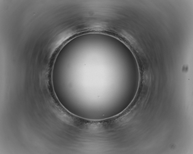 X0000091071410200708061253