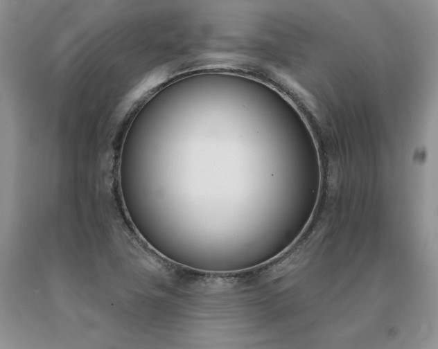 X0000091071411200708061253