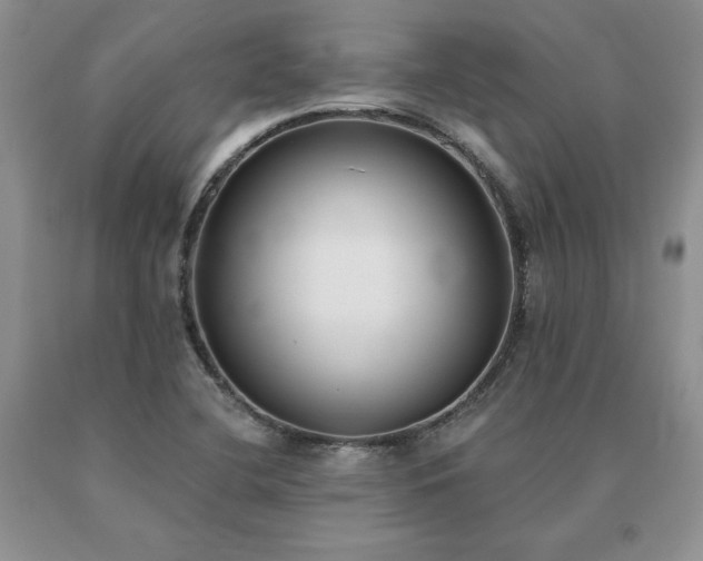 X0000091071412200708061253