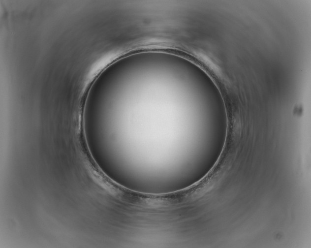 X0000091071413200708061253