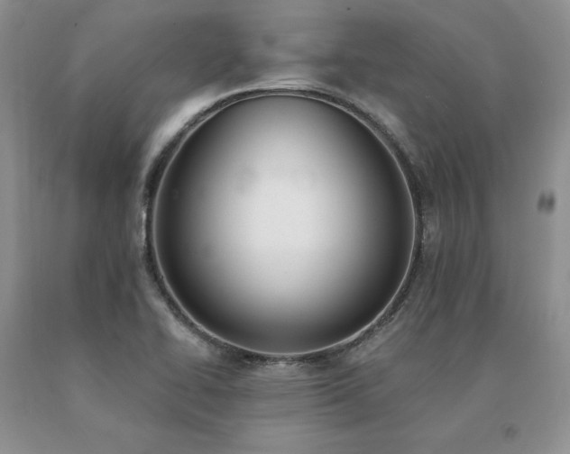 X0000091071414200708061253