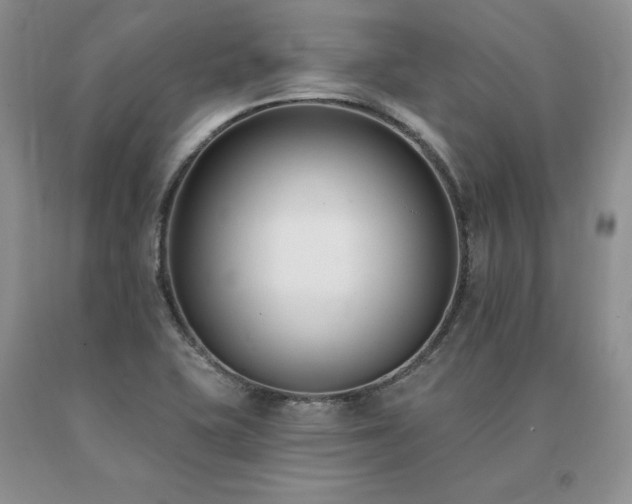 X0000091071415200708061253