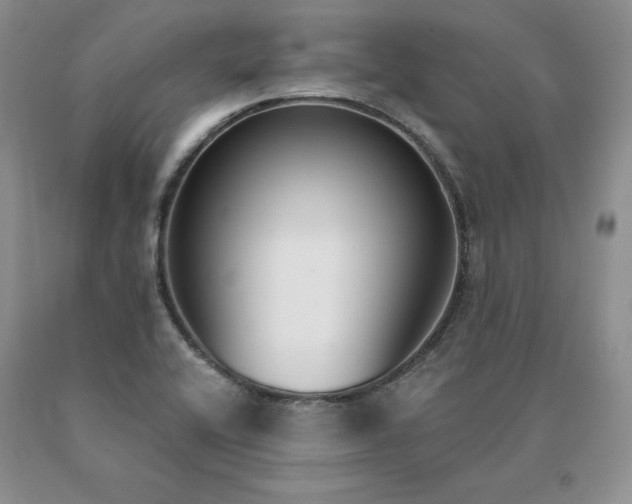 X0000091071416200708061253