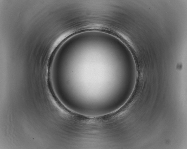X0000091071418200708061253