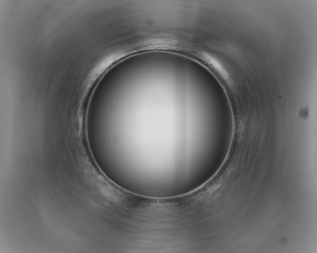 X0000091071419200708061253