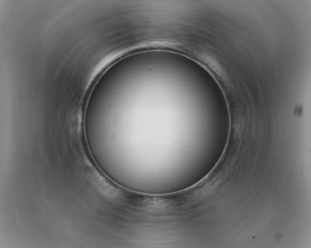 X0000091071420200708061253