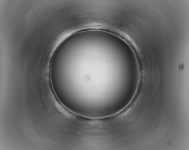 X0000091071421200708061253