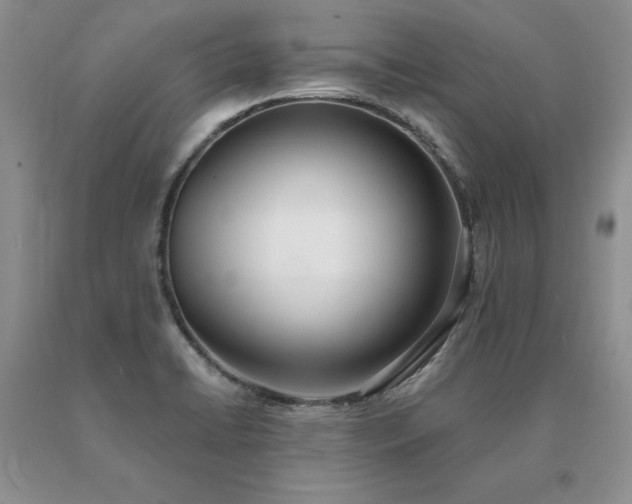 X0000091071422200708061253