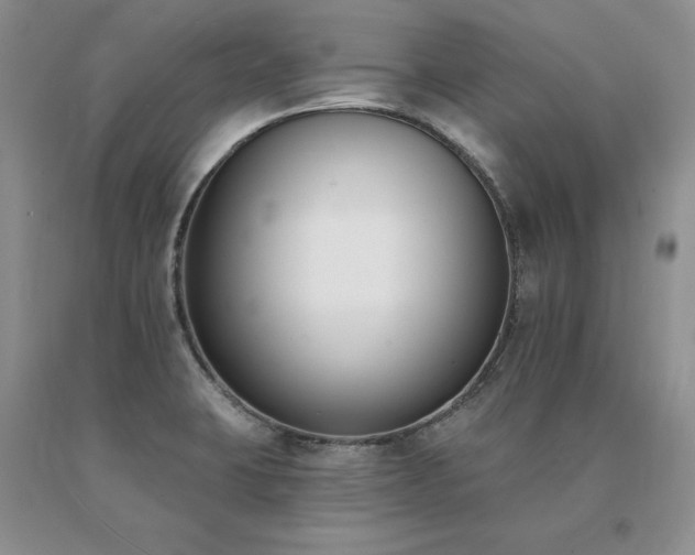 X0000091071423200708061253