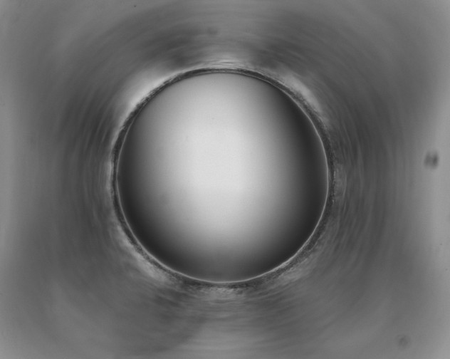 X0000091071424200708061253