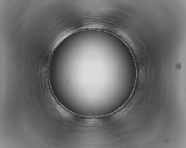 X0000091071425200708061253
