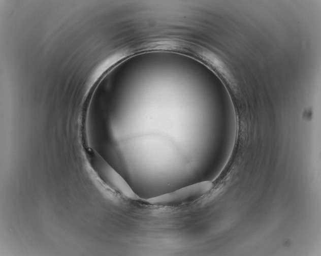 X0000091071426200708061253