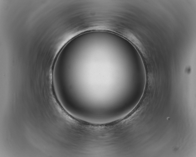 X0000091071428200708061253