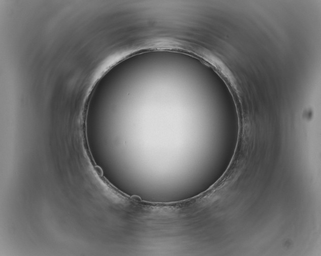 X0000091071429200708061253