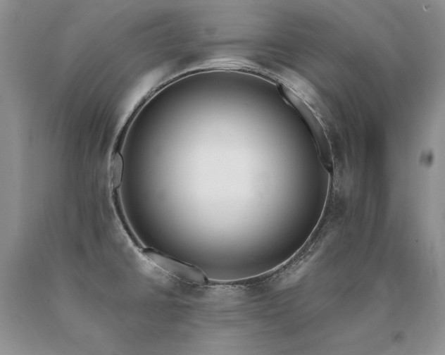 X0000091071430200708061253