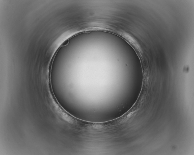 X0000091071431200708061253