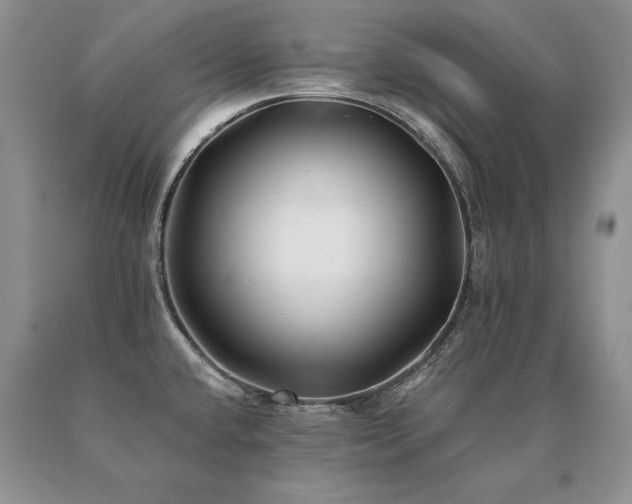X0000091071432200708061253