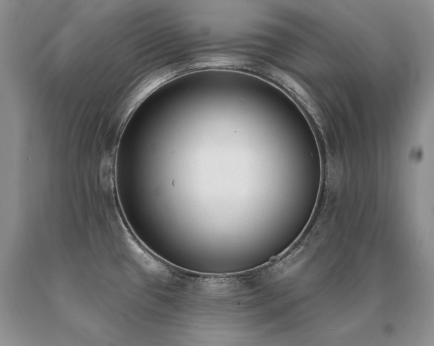 X0000091071433200708061253