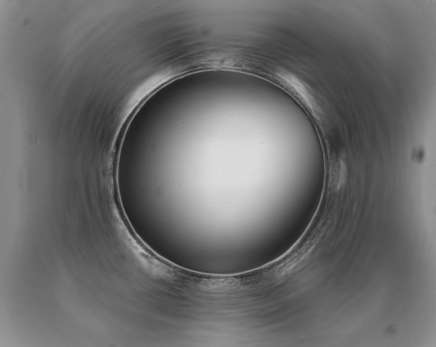 X0000091071434200708061253
