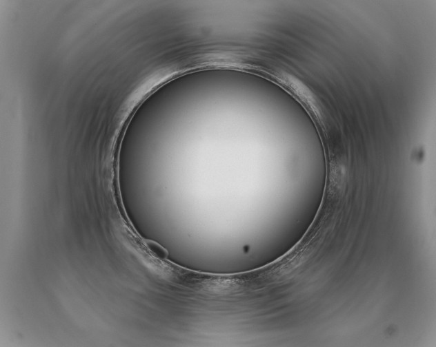 X0000091071435200708061253
