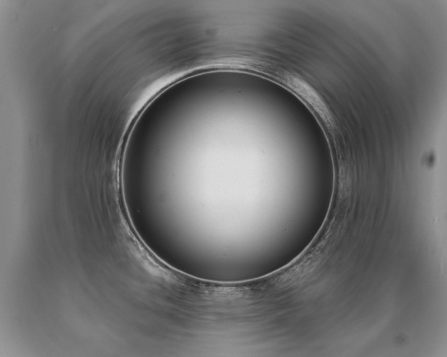 X0000091071436200708061253