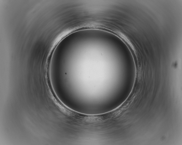 X0000091071437200708061253