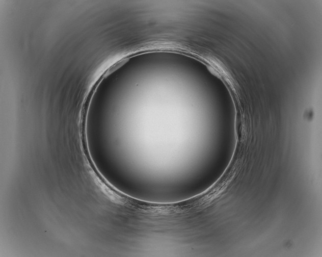 X0000091071438200708061253