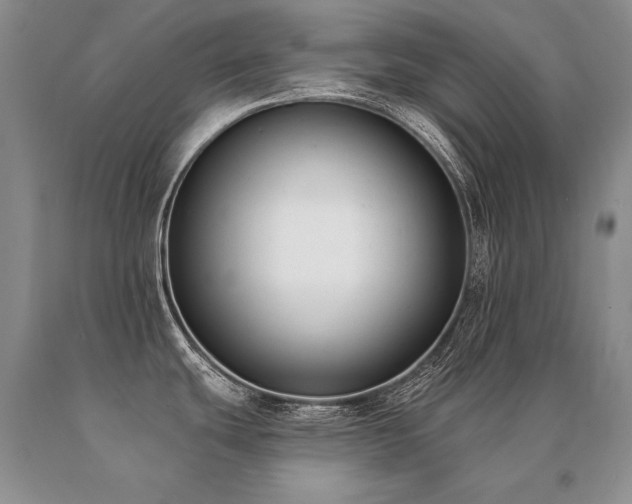 X0000091071439200708061253