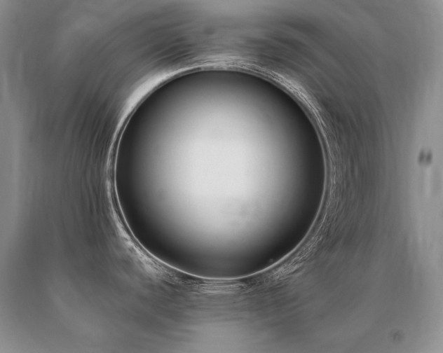 X0000091071440200708061253