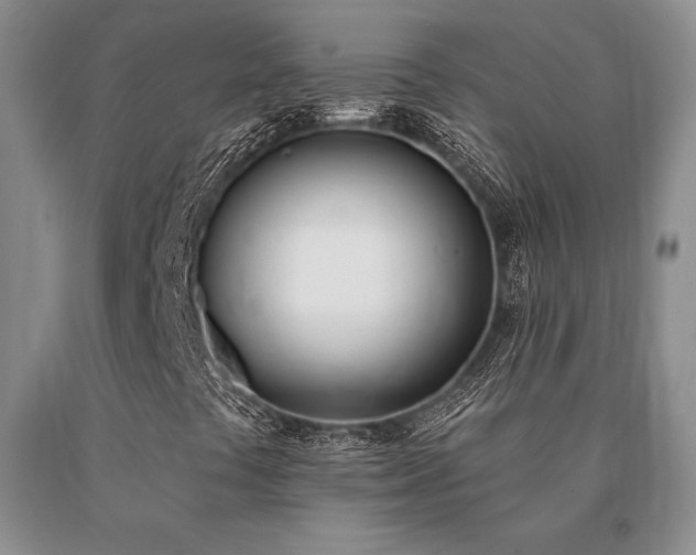 X0000091071441200708061252