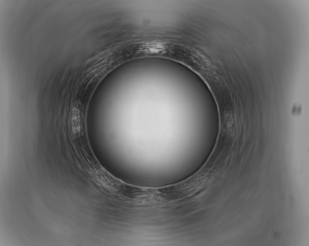 X0000091071442200708061252