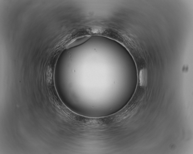 X0000091071443200708061252