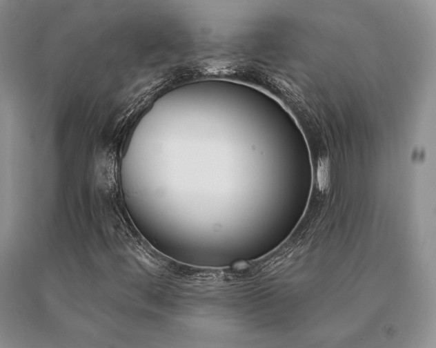 X0000091071444200708061252