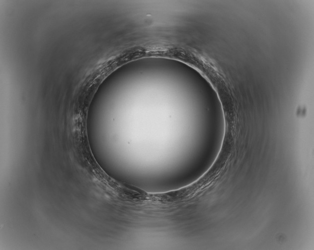 X0000091071445200708061252