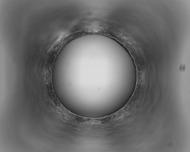 X0000091071446200708061252