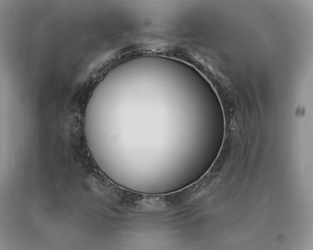 X0000091071447200708061252