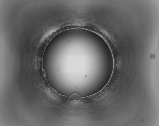 X0000091071448200708061252