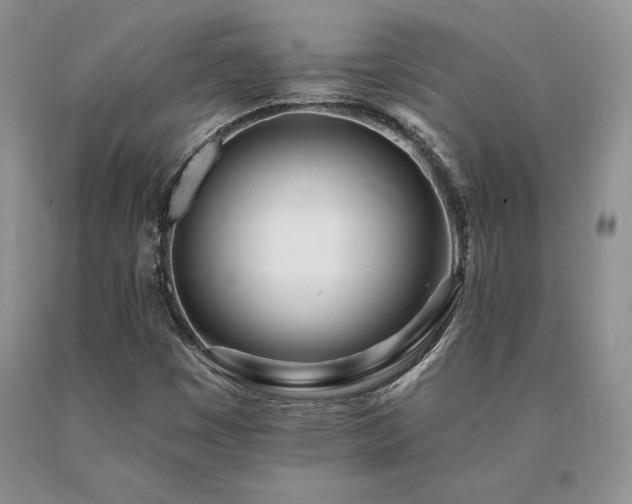 X0000091071449200708061252